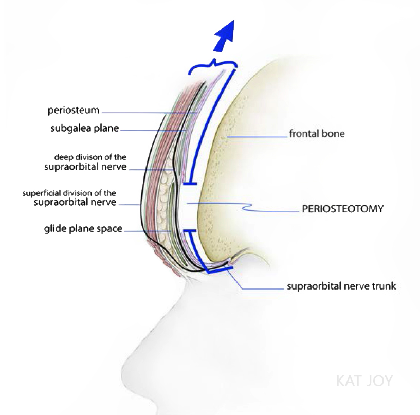 Medical Illustration by Kathleen Figueroa aka KAT JOY